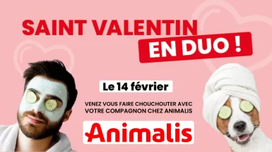 Animalis Saint Valentin JAF-info Animalerie