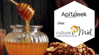 Api miel culture Miel JAF-info Jardinerie