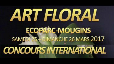 CONCOURS INTERNATIONAL D’ART FLORAL DE MOUGINS.VENDREDI 24 MARS 2017