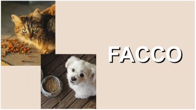 FACCO-Animalerie-Petfood-JAF-info-Animalerie Etude 1