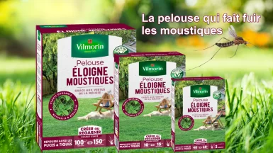 Gazon vilmorin Moustique JAF-info Jardinerie