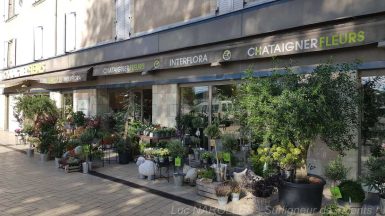 Jardinerie Urbaine - Végétal DYE Angers 2019 - JAF-info Jardinerie Fleuriste 20190912-029