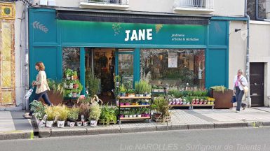 Jardinerie Urbaine - Végétal DYE Angers 2019 - JAF-info Jardinerie Fleuriste 20190912-033