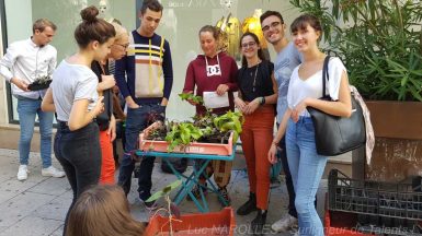 Jardinerie Urbaine - Végétal DYE Angers 2019 - JAF-info Jardinerie Fleuriste 20190912-040