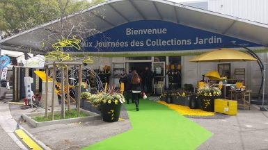 Journées-Collections-Marseille-2016-JAF-Jardinerie20160405-123604-004