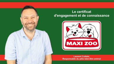 LaurentCOTTAIS-Maxi Zoo JAF-info Animalerie