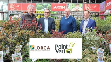 Lorca Point vert JAF-info Jardinerie