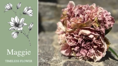 Maggie fleurs timeless flower JAF-info Jardinerie Fleuriste