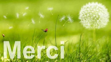 Merci-JAF-info-Jardinerie-Animalerie-Fleuriste