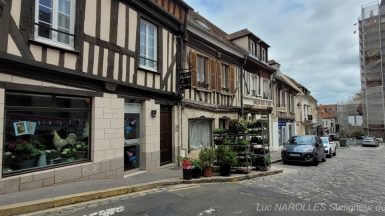 Montfort l'Amaury - Alain Griset 2021 - JAF-info Jardinerie Animalerie Fleuriste 20210512_132626