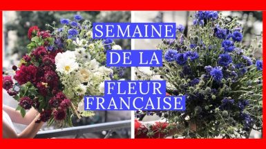 Semaine_de_la_Fleur_Française_–_Fleurs_d_Ici JAF-info Jardinerie Fleuriste