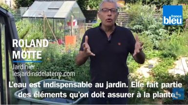 VIDEO_Roland_Motte_jardinier_l_eau_un_élément_indispensable_au_jardin JAF-info Jardinerie