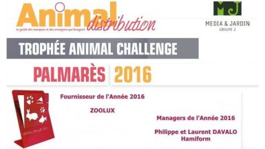 animal-challenge-groupe-j-JAF-animalerie