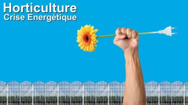crise energetique europe JAF-info Jardinerie Fleuriste
