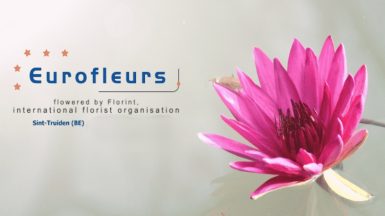 eurofleurs-FLORINT Belgique JAF-info Fleuriste