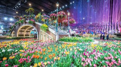 Healing power of plants on display at Philly Flower Show | FYI Philly