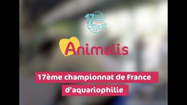 Animal Expo Animalis - 17ème Edition du Championnat de France d' Aquariophilie