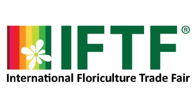 logo-iftf