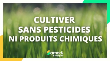 Comment cultiver sans pesticides ni produits chimiques ? - Samedi à tout prix