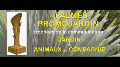 palmes-promojardin-JAF-jardinerie-animalerie