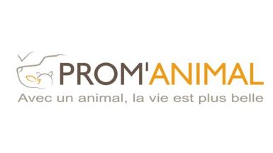 promanimal-JAF-animalerie