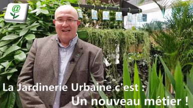 Nouveau Concept Urbain Jardinerie Truffaut Bordeaux Frédéric Barbier Directeur Régional